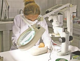 Excavations revealing centuries-old designs