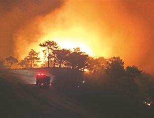 Fire destroys 500 hectares of forest