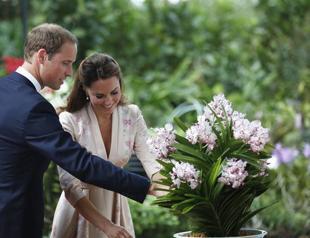 Prince William says he wants 2 children with Kate