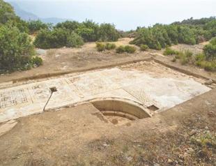 Enormous mosaic unearthed in a field