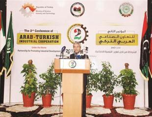 Minister sets goal for trade with Arab League: $100 bln