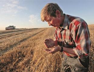 Droughts sap Germans’ food commodity appetite