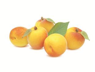 Turkey world’s leading producer of many fruits