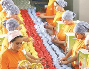 EU dominates foreign investments to Turkey