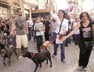 Ministry defends animal protection law after protests