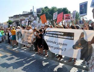 Gov’t steps back in bid to amend animal rights law