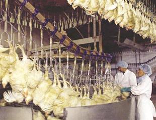 China’s halal food firm eyes local partnership