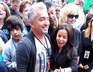 Dog Whisperer leads pack walk for unwanted pooches