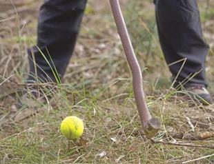 Czech forest golfers make an extreme sport of game