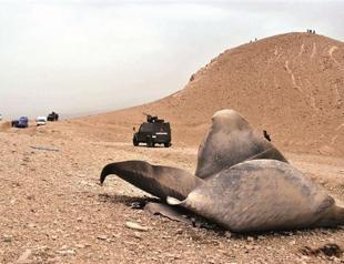 Turkish jets hit PKK in Iraq