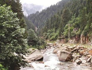 Cabinet calls for urgent move for hydropower