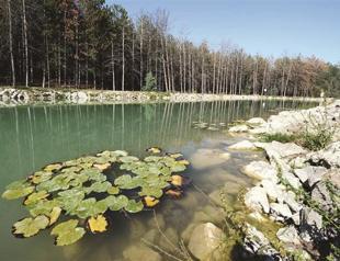 Safari tours lure nature enthusiasts to Hacettepe