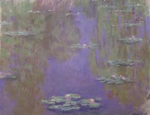 Monets garden on display at Sakıp Sabancı Museum