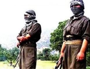 PKK kidnaps two in Şırnak