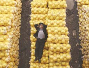 Benign inflation in China takes pressure off Chinese policymakers