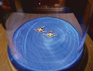 Exhibition presents famed jewels