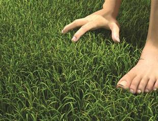 Artist eyes new dimension in art