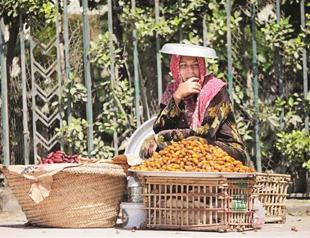 Egypt seeks $2 bln in loans from Algerian government