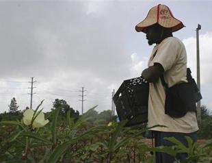 Organic food not necessarily better for children: experts