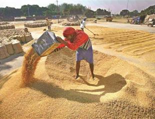 Importers fear ‘grain monopolies’