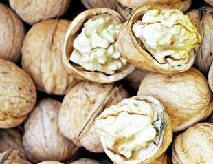 Turkey ranks third in nuts production