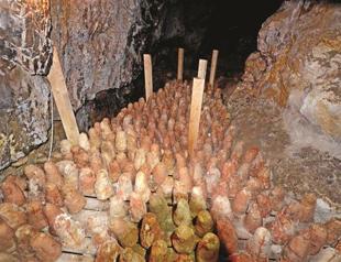 Divle’s cheese competes with traditional French Roquefort