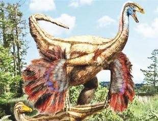 Feathered dinosaurs fossil found