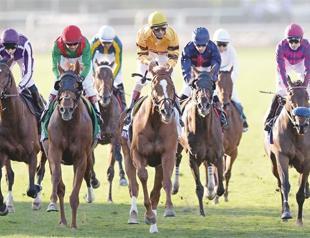 Favorite Wise Dan runs to glory at the Breeders’ Cup