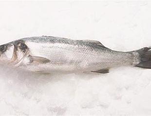 Turkey’s exports of fish to US up 88 pct