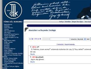 Profanities listed as idioms on Turkish institute’s website