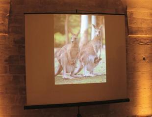 Indigenous ‘send message’ to Mardin
