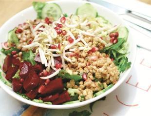 A low-calorie diet may not prolong life