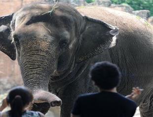 Young child mauled to death at US zoo