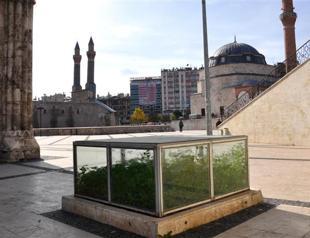 Greenhouse effect ruins artifact