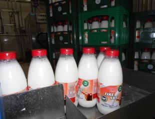 Turkeys Changemakers: Milk cooperative makes a difference in the lives of people in Tire