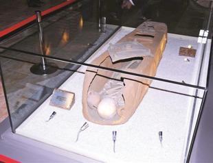 Museum asked to bury old skeleton