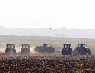 Pesticide use drops sharply in 10 years