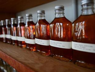 No alcohol in universities