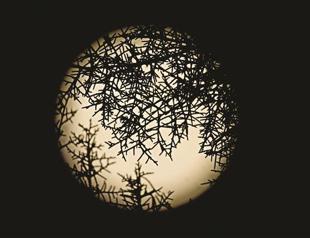 Moon not related to human psychology