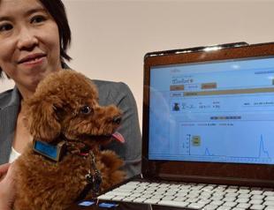 Japanese firm develops health monitor for dogs