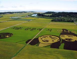 South Korea lifts temporary ban on US rice