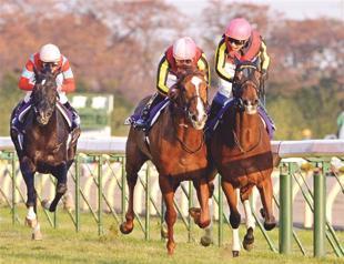 Gentildonna triumphs in Japan Cup