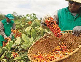 Agriculture investment not enough