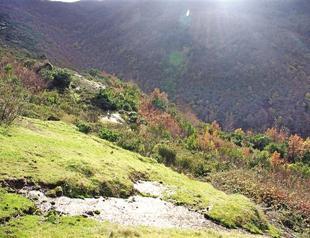 Profession of kitchen art on hills of Amasra