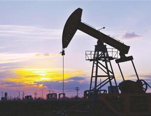 One of every three TPAO wells fruitful