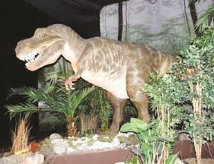 Jurassic Land, a new dimension to entertainment