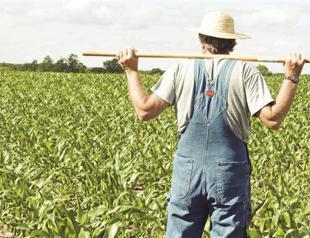 Farm aid to hike 16.9 pct next year