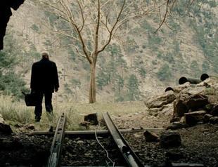 A good year in Turkish cinema, but for who