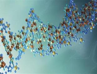 Spain to conduct DNA testing on immigrants to stop illegal human trafficking