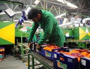 Turkey’s exports rise 24.8 pct in November